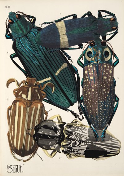 13. tábla Rovarok, kocsma. 1930-as évek (pochoir print) alkotó: Émile Allain Séguy