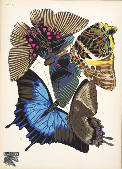 16. tábla, Butterflies, kocsma. 1925 (sablonnyomat) alkotó: Émile Allain Séguy