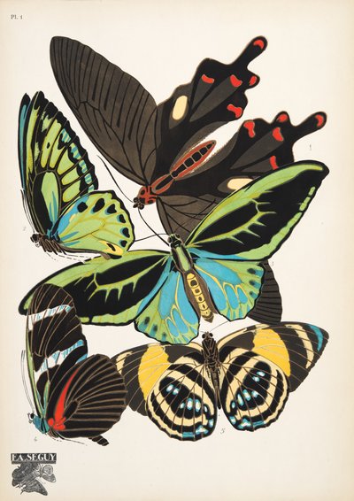 1. tábla, Butterflies, kocsma. 1925 (sablonnyomat) alkotó: Émile Allain Séguy