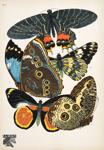 2. tábla, Butterflies, kocsma. 1925 (sablonnyomat) alkotó: Émile Allain Séguy