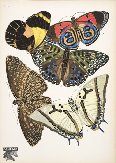 12. tábla, Butterflies, kocsma. 1925 (sablonnyomat) alkotó: Émile Allain Séguy
