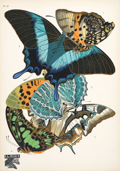13. tábla, Butterflies, kocsma. 1925 (sablonnyomat) alkotó: Émile Allain Séguy