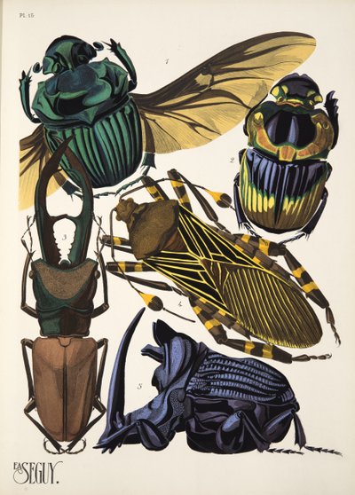15. tábla Rovarok, kocsma. 1930-as évek (pochoir print) alkotó: Émile Allain Séguy