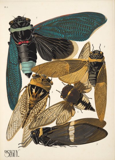 1. tábla az Insectes-től, kocsma. 1930-as évek (pochoir print) alkotó: Émile Allain Séguy
