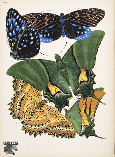 6. tábla, Butterflies, kocsma. 1925 (sablonnyomat) alkotó: Émile Allain Séguy