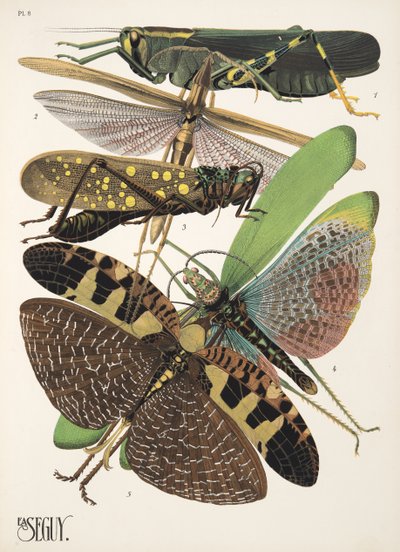 8. tábla Rovarok, kocsma. 1930-as évek (pochoir print) alkotó: Émile Allain Séguy