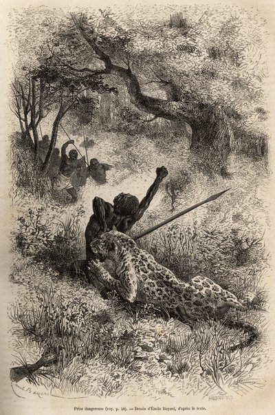 Egy leopárd ráugrik egy emberre, és kegyetlenül a hátára harapja, Bambare (Kongó) környékén, Emile Bayard rajza után metszett, David Livingstone utolsó naplóját (1813-1873) illusztrálva, 1866-1873-ban, megjelent a „ „Le tour du monde”” 1875, szerk alkotó: Emile Antoine Bayard