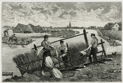 A len rozsdája (macerálás, hogy megkönnyítse a kéreg és a szár elválasztását) a Lys-ben (Franciaországtól és Belgiumtól északra fekvő folyó). Emile Claus metszete a „La Belgique” történet illusztrálására, Camille Lemonnier (1844) -1913), író és művészeti k alkotó: Emile Claus