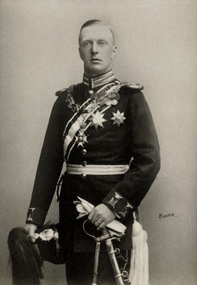 Henri , Holland herceg konzortja, Mecklenburg hercegének portréja ( 1876 ) alkotó: Emilie Bieber