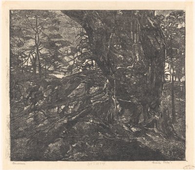 Fák egy dűne szélén Egmond és Bergen között alkotó: Emilius Wilhelmus Dehé (signed by artist)
