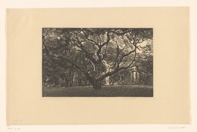 Öreg fa alkotó: Emilius Wilhelmus Dehé (signed by artist)