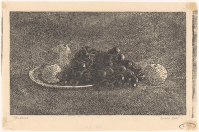 Tál szőlővel és más gyümölccsel alkotó: Emilius Wilhelmus Dehé (signed by artist)