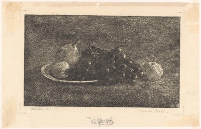 Tál szőlővel és más gyümölccsel alkotó: Emilius Wilhelmus Dehé (signed by artist)