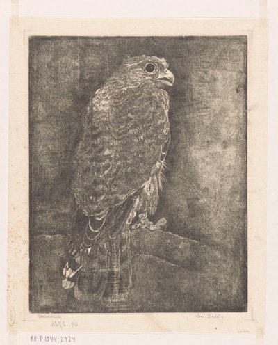Sólyom egy ágon alkotó: Emilius Wilhelmus Dehé (signed by artist)