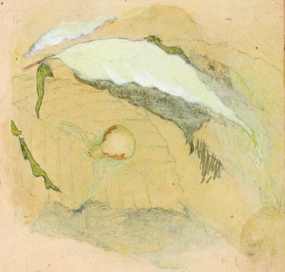 Porcelán-fehér pók alkotó: Emma Beach Thayer