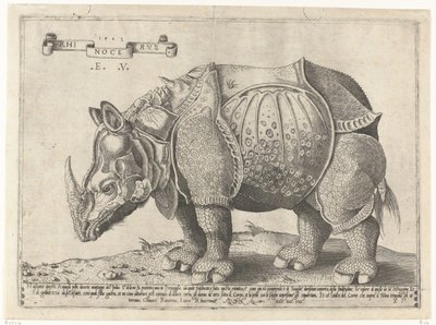 Neushoorn Rhinocerus (cím a tárgyon) alkotó: Enea Vico