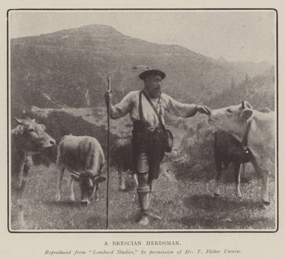 Egy bresciai pásztor alkotó: English Photographer