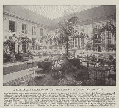 Napjaink divatos üdülőhelye, a Palm Court a Carlton Hotelben alkotó: English Photographer