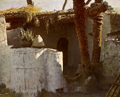 Fellahin lakóhelye, Egyiptom. alkotó: English Photographer