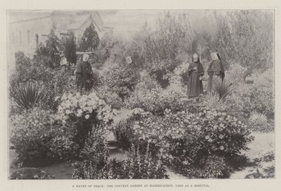 A béke kikötője, a bloemfonteini kolostorkert, amelyet kórházként használnak alkotó: English Photographer