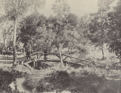 Rusztikus híd, Ballarat vízrezervátum alkotó: English Photographer