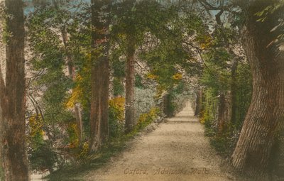 Addisons Walk, Oxford. 1913-ban feladott képeslap. alkotó: English Photographer