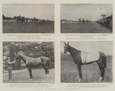 Ascot győztesek és helyezettek alkotó: English Photographer