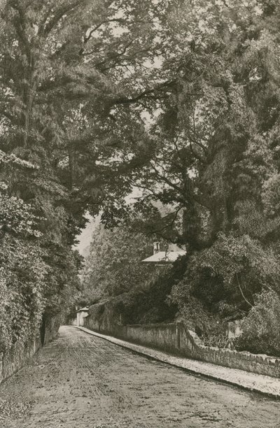 Bonchurch Road, Wight-sziget alkotó: English Photographer