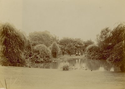 Brockwell Park, London alkotó: English Photographer