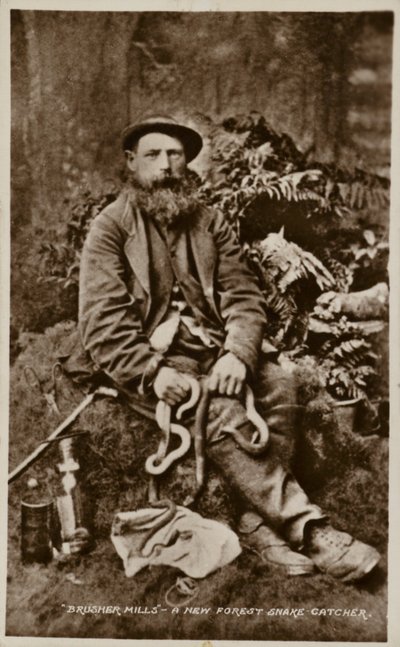 Brusher Mills, egy új erdei kígyófogó alkotó: English Photographer
