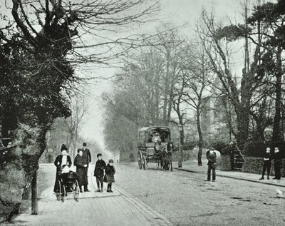 Crouch End Hill, Crouch End, 1894 alkotó: English Photographer