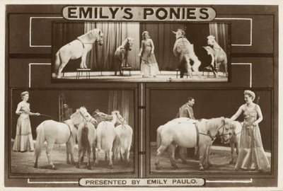 Emily Paulo és fellépő idomított pónik (f/w fotó) alkotó: English Photographer
