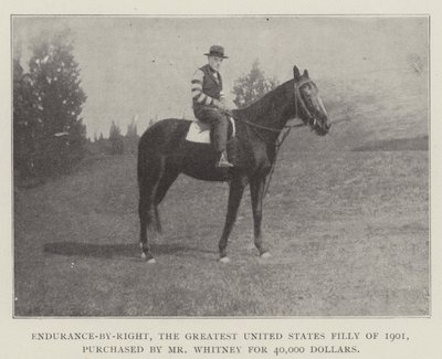 Az Endurance-by-Right, az Egyesült Államok 1901-es legnagyobb kancsója, Whitney úr vásárolta meg 40 000 dollárért alkotó: English Photographer