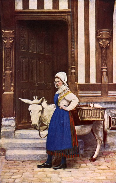 Franciaország: Normandia virága (színes fotó) alkotó: English Photographer