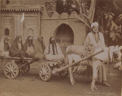 Lóvontatású szekér, Kairó, 1893 alkotó: English Photographer