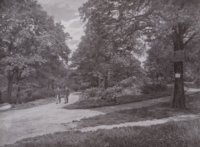 Queens Woodban, Highgate-ben alkotó: English Photographer