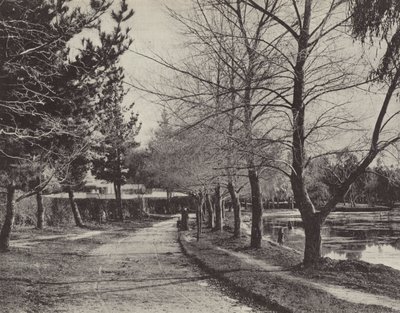 Wendouree-tó télen alkotó: English Photographer