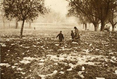 Szemettel elszórt fű a Hampstead Heath-en egy bankszünet másnapján, a csodálatos Londonból, 1926-27 között (fotómélység) alkotó: English Photographer