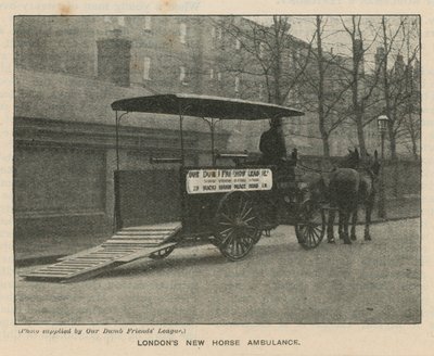 London új Horse Ambulance alkotó: English Photographer