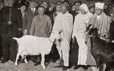 Mahatma Gandhi 1931-ben érkezik Londonba, az angliai tanítványával, Madeleine Slade-del és két kecskéjével az 1935-ben megjelent The Story of Twenty Five Yearsből. alkotó: English Photographer