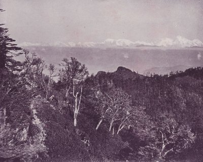 Mount Everest, Sandakphuból, Darjeelingből alkotó: English Photographer