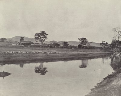 Nemengha állomás alkotó: English Photographer