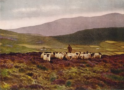 A Mourne-hegységben, Down megye (színes fotó) alkotó: English Photographer