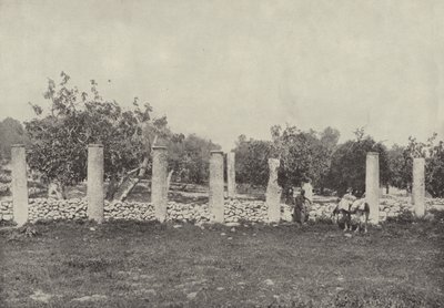 Heródes palota, Szamária, A palota maradványai, amelyet Heródes épített Augustus tiszteletére alkotó: English Photographer