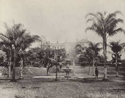 Pálmák és szökőkút, botanikus kert, Brisbane alkotó: English Photographer