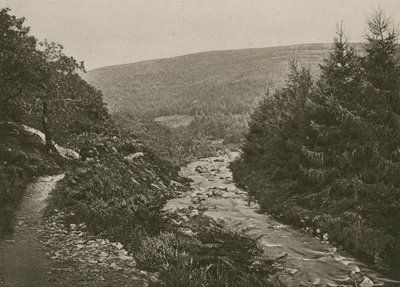 Út a Bagworthy Water mellett, Doone Valley alkotó: English Photographer