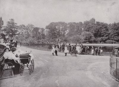 Peckham Park alkotó: English Photographer