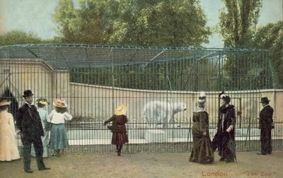 Emberek látogatják a londoni állatkert jegesmedve-kertjét (fotó) alkotó: English Photographer