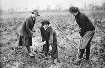 Kellemes, jövedelmező, hazafias: Egy gyümölcsfarmon Letchmore Heath-ben, St. Albans közelében, a The Illustrated War News-ból, 1916. augusztus 2. alkotó: English Photographer