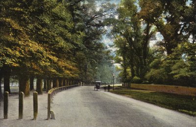 Queens Road, a Backs alkotó: English Photographer